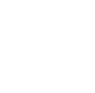 THE iCON